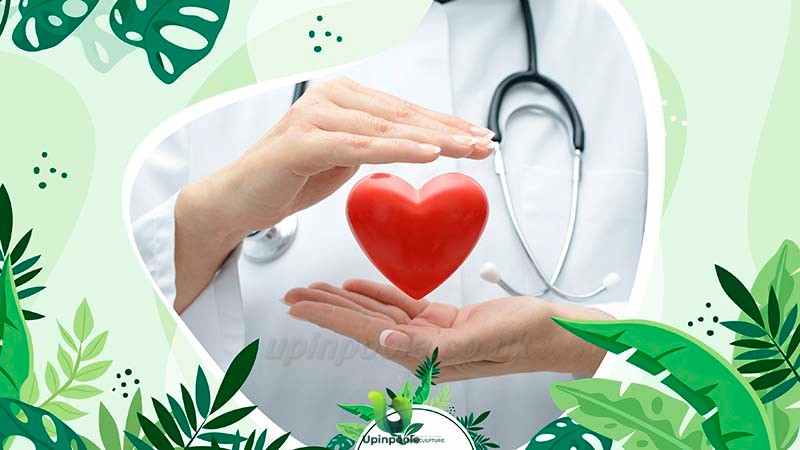 Cardiovascular Health Support